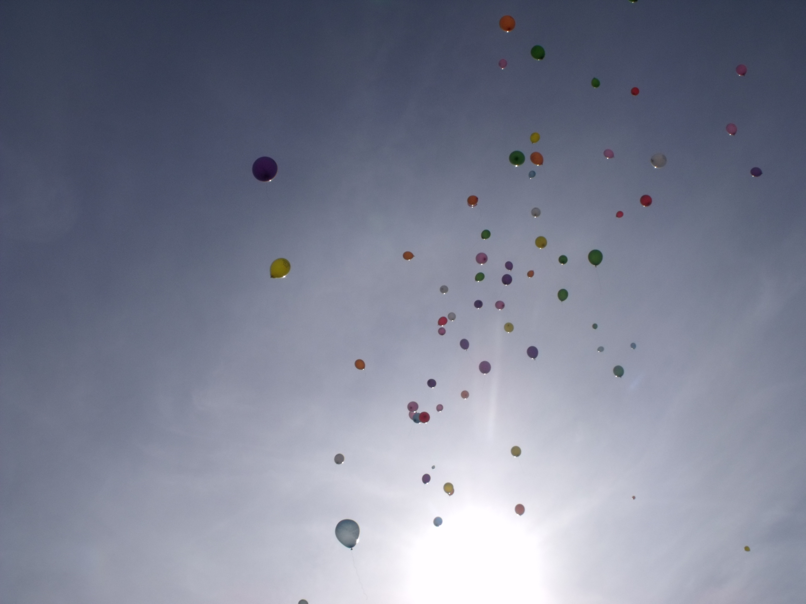 dscf4372.JPG